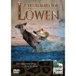 Jeff Corwins tierische Abenteuer - Schwimmende Löwen (DVD)