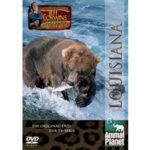 Jeff Corwins tierische Abenteuer - Louisiana (DVD)