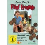 Fünf Freunde 09 - Fünf Freunde auf großer Fahrt / und der Zauberer Wu (DVD)
