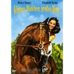 Kleines Mädchen, großes Herz (DVD)