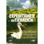 Expeditionen ins Tierreich - Die Wiese - Disc 1 - Entdeckungsreise durch eine Wunderwelt (DVD)