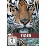 Safari - Tiger (DVD)