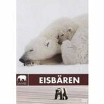 Safari - Eisbären (DVD)