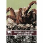 Safari - Spinnen, Schlangen und Skorpione (DVD)