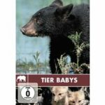 Safari - Tier Babys (DVD)
