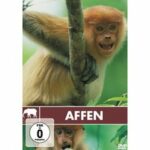 Safari - Affen (DVD)
