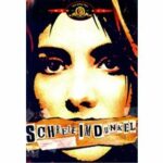 Schreie im Dunkel (DVD)