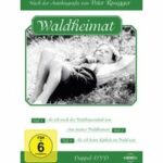 Waldheimat - Disc 1 - Folge 1 (DVD)