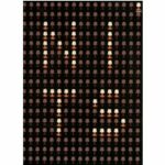 The Nits - The Nits 2004 (DVD)