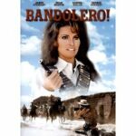 Bandolero! (Blu-ray)
