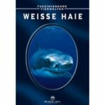 Faszinierende Tierwelten - Weiße Haie (DVD)