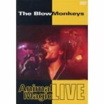 The Blow Monkeys - Animal Magic Live (DVD)