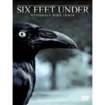 Six Feet Under - Staffel 4 - Disc 1 mit den Episoden 01 - 02 (DVD)
