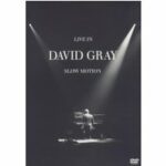 David Gray - Live in Slow Motion (DVD)