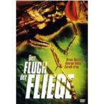 Der Fluch der Fliege (DVD)