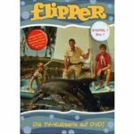 Flipper - Staffel 1 - Disc 1 - Episoden 1 - 4 (DVD)