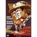 Zwei ritten zusammen (DVD)