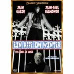 Ein Affe im Winter (DVD)