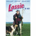 Lassie in Not (DVD)