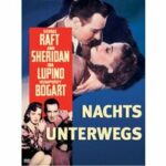 Nachts unterwegs (DVD)