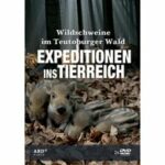 Expeditionen ins Tierreich - Wildschweine im Teutoburger Wald - Disc 1 - Wildschweine im Teutoburger