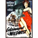 Geheimagent in Wildwest (DVD)