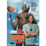 Der Sprung nach oben (DVD)