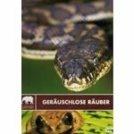 Safari - Geräuschlose Räuber (DVD)