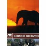 Safari - Indische Elefanten (DVD)