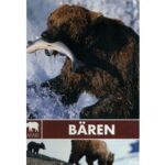 Safari - Bären (DVD)