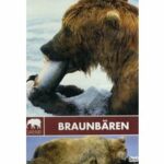 Safari - Braunbären (DVD)