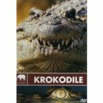 Safari - Krokodile (DVD)