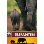 Safari - Elefanten (DVD)