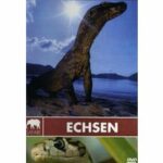 Safari - Echsen (DVD)