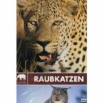 Safari - Raubkatzen (DVD)