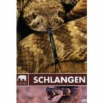 Safari - Schlangen (DVD)