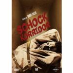 Schock-Korridor - Englische Originalfassung mit deutschen Untertiteln (DVD)