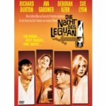Die Nacht des Leguan (DVD)