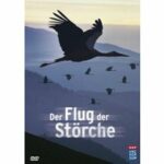 Der Flug der Störche (DVD)