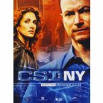 CSI: New York - Staffel 3 - Disc 1 (3.1 Disc 1) mit den Episoden 01 - 04 (DVD)