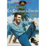 Ein Sommer in Florida (DVD)