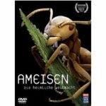Ameisen (DVD)