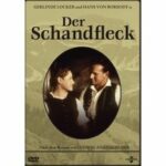 Der Schandfleck (DVD)
