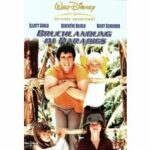 Bruchlandung im Paradies (DVD)