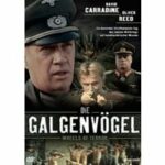 Die Galgenvögel (DVD)