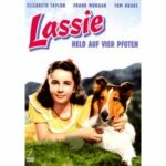 Lassie - Held auf vier Pfoten (DVD)