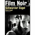 Schwarzer Engel (DVD)