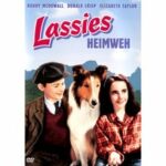 Lassies Heimweh (DVD)