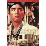Die Todespagode des gelben Tigers (DVD)