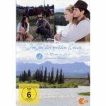 Im Tal der wilden Rosen - Box 4 (DVD)